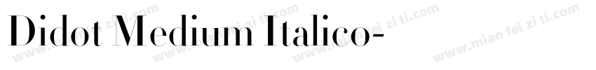 Didot Medium Italic0字体转换